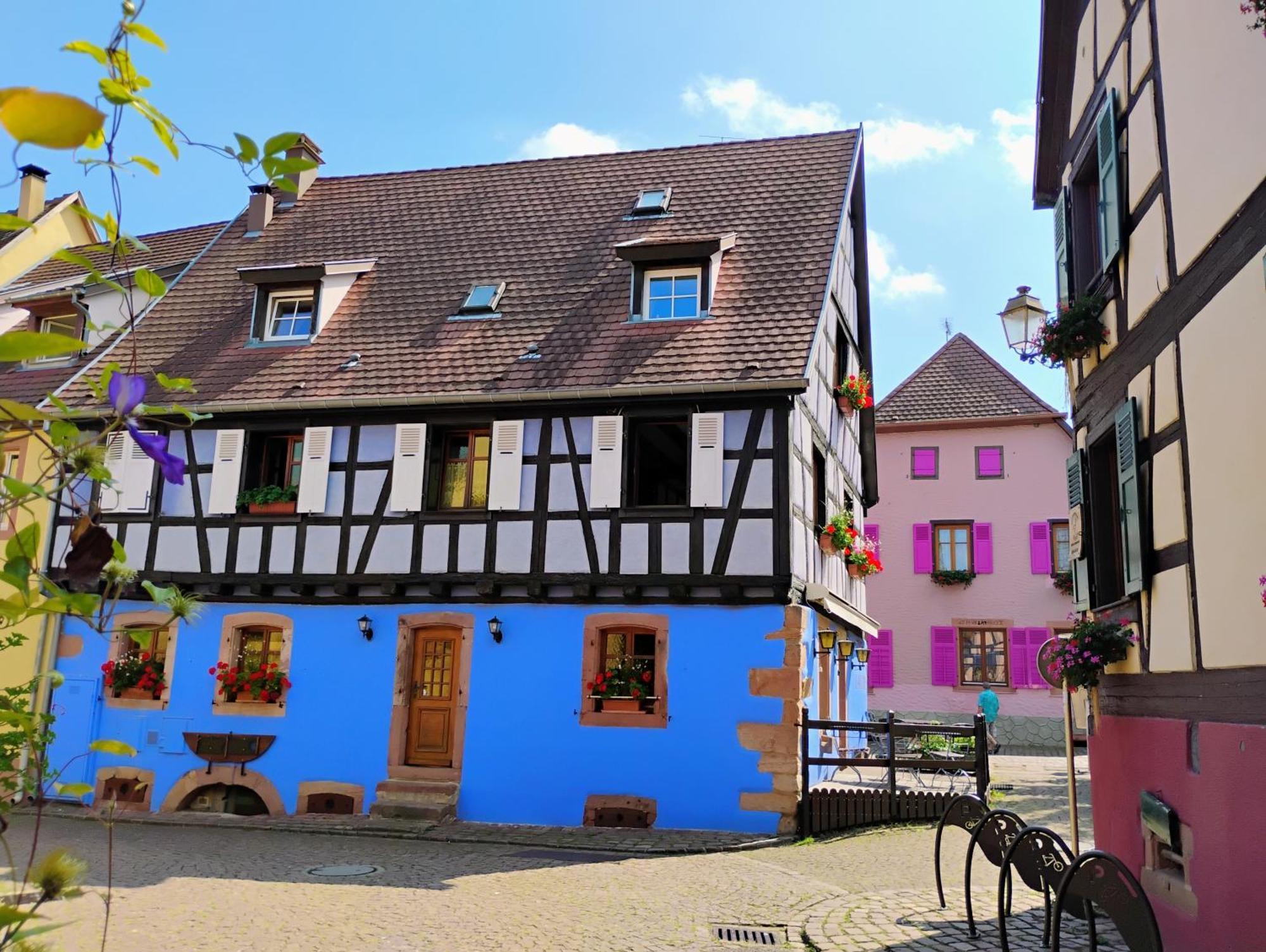 Gite Le Marronnier - Au Calme - Parking & Terrasse - Pres De Colmar Et Riquewihr - Route Des Vins Chatenois  Bagian luar foto