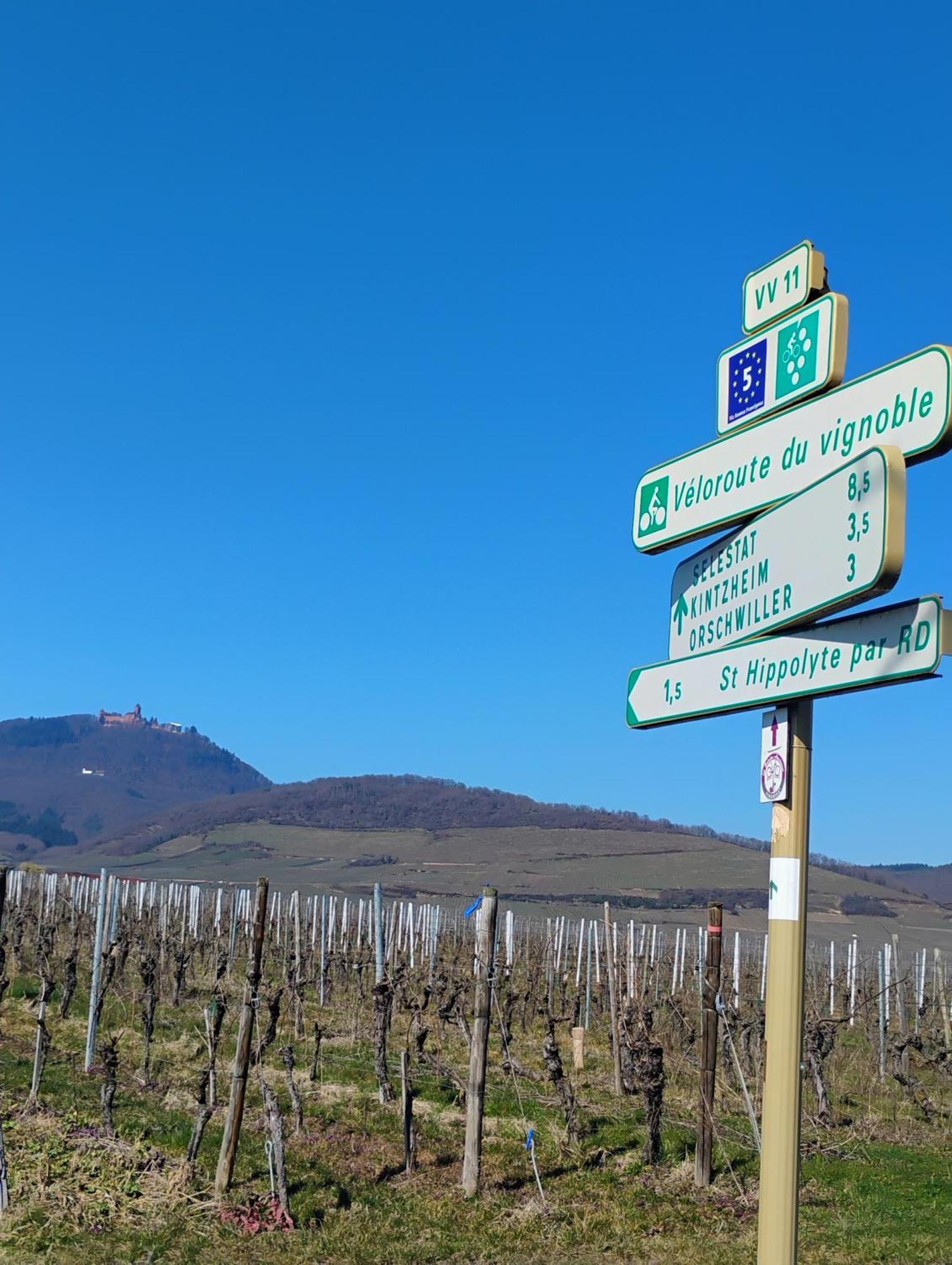Gite Le Marronnier - Au Calme - Parking & Terrasse - Pres De Colmar Et Riquewihr - Route Des Vins Chatenois  Bagian luar foto