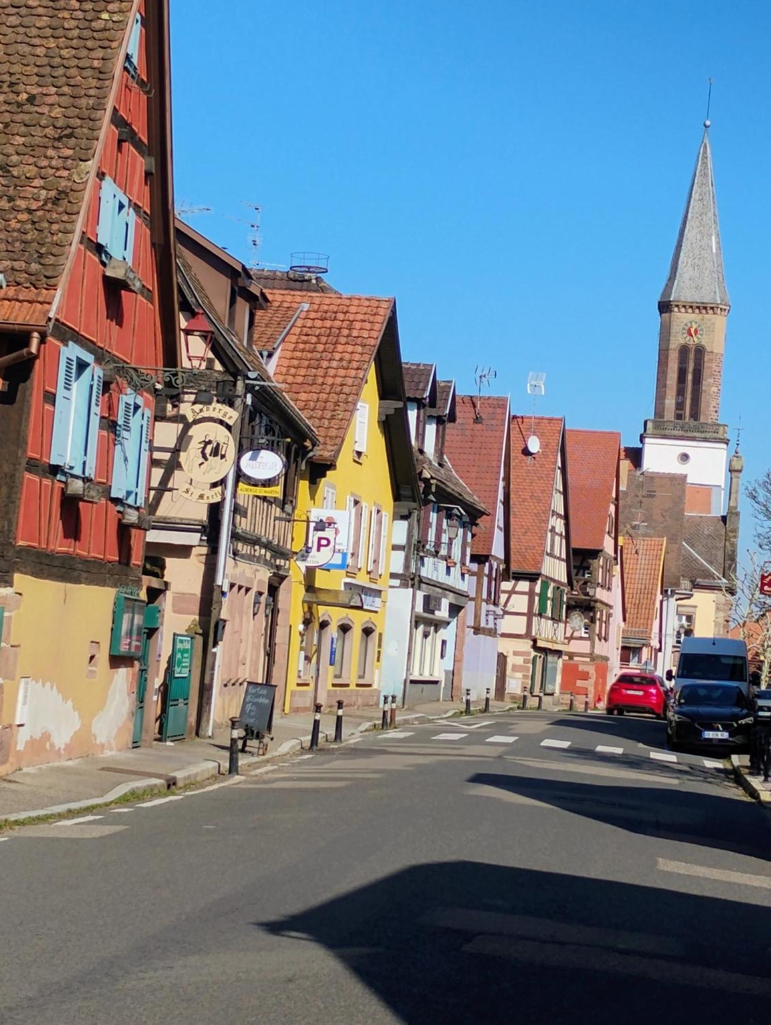 Gite Le Marronnier - Au Calme - Parking & Terrasse - Pres De Colmar Et Riquewihr - Route Des Vins Chatenois  Bagian luar foto