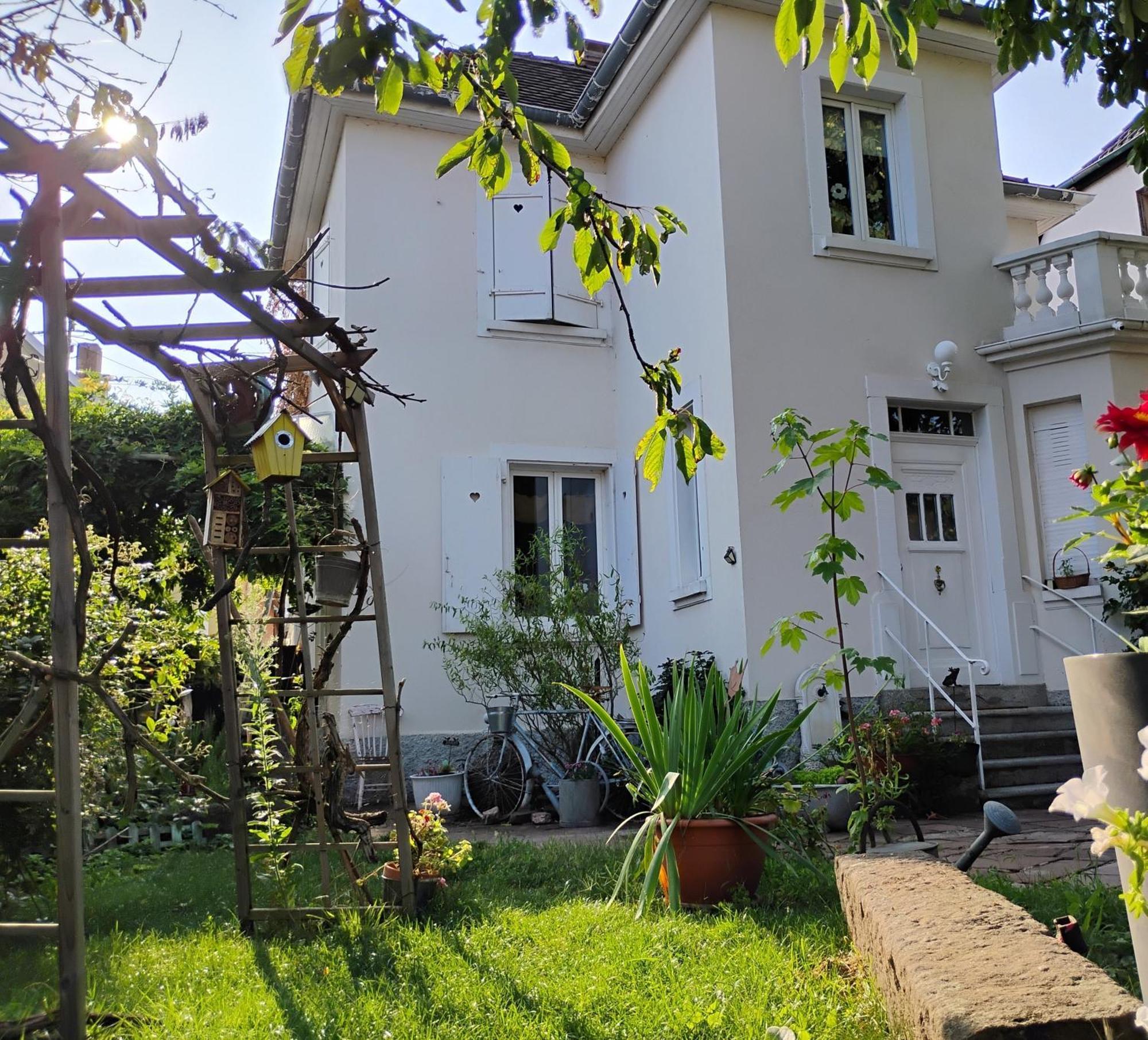 Gite Le Marronnier - Au Calme - Parking & Terrasse - Pres De Colmar Et Riquewihr - Route Des Vins Chatenois  Bagian luar foto
