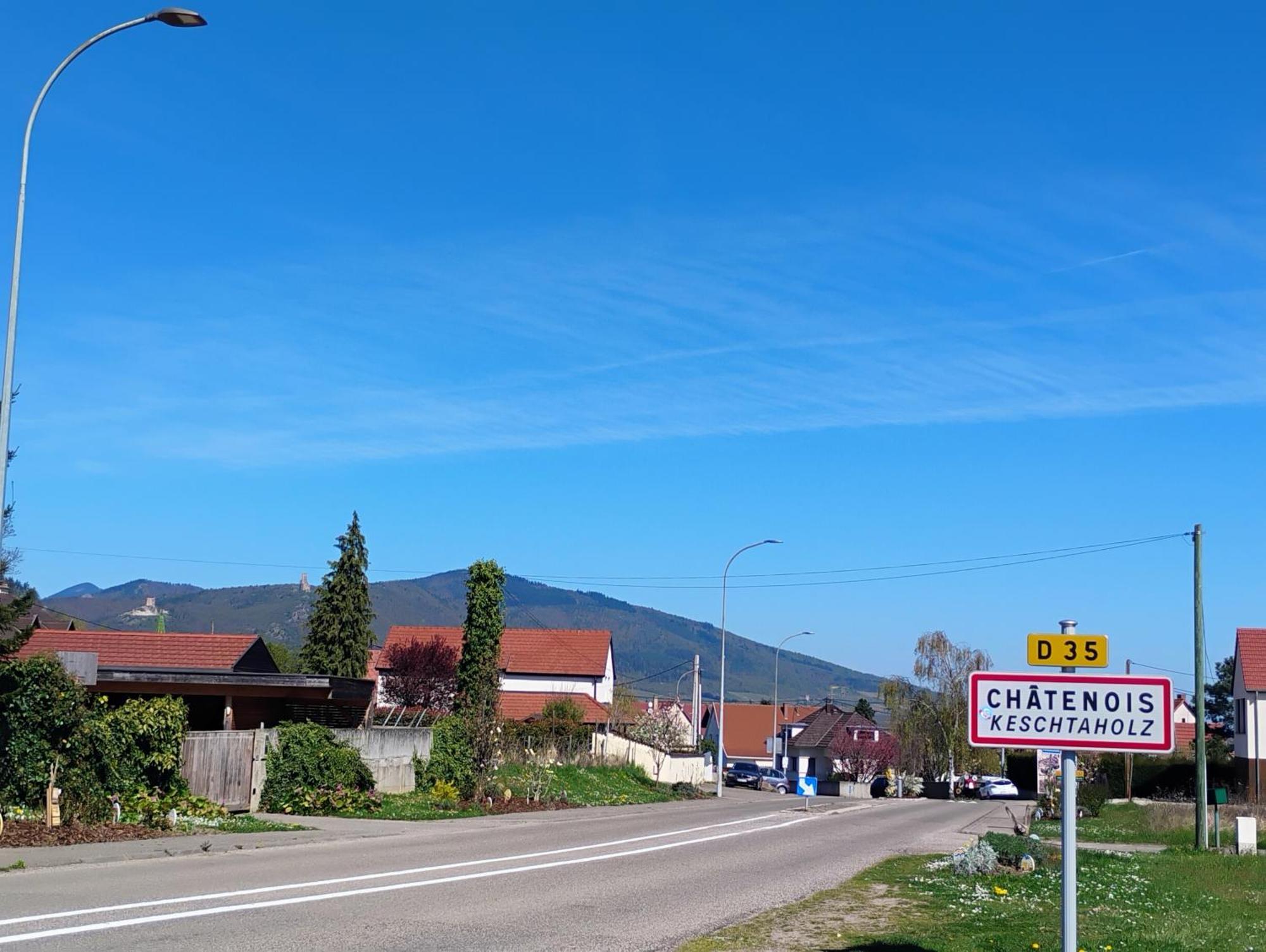 Gite Le Marronnier - Au Calme - Parking & Terrasse - Pres De Colmar Et Riquewihr - Route Des Vins Chatenois  Bagian luar foto