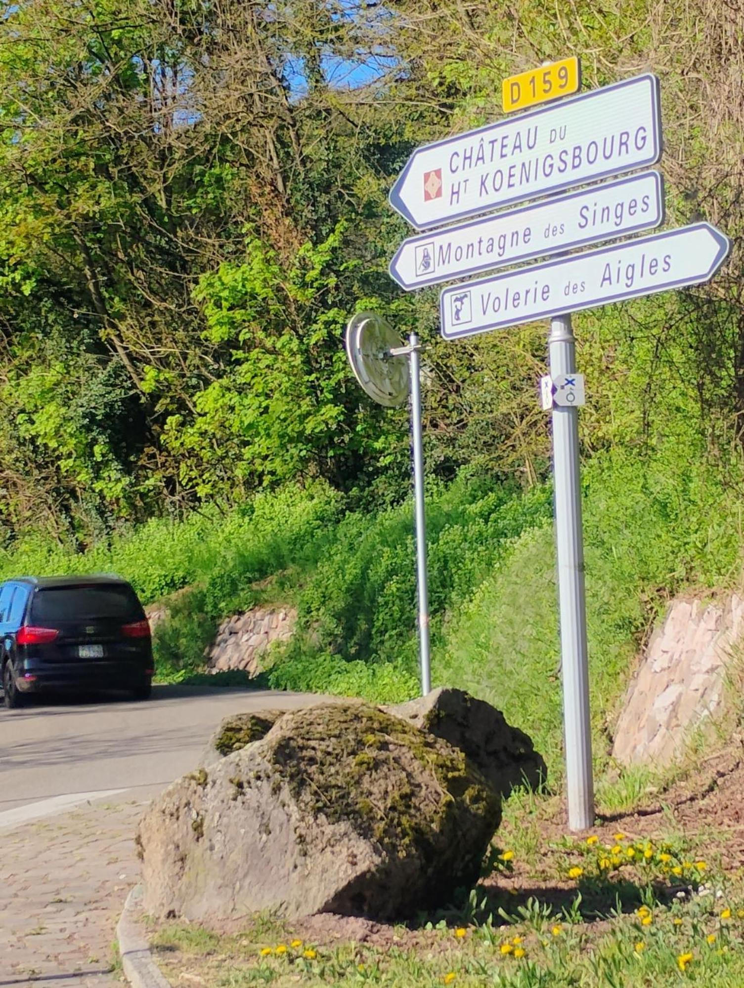 Gite Le Marronnier - Au Calme - Parking & Terrasse - Pres De Colmar Et Riquewihr - Route Des Vins Chatenois  Bagian luar foto