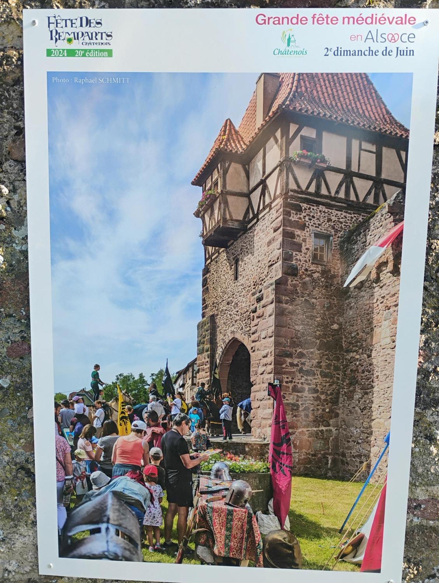 Gite Le Marronnier - Au Calme - Parking & Terrasse - Pres De Colmar Et Riquewihr - Route Des Vins Chatenois  Bagian luar foto
